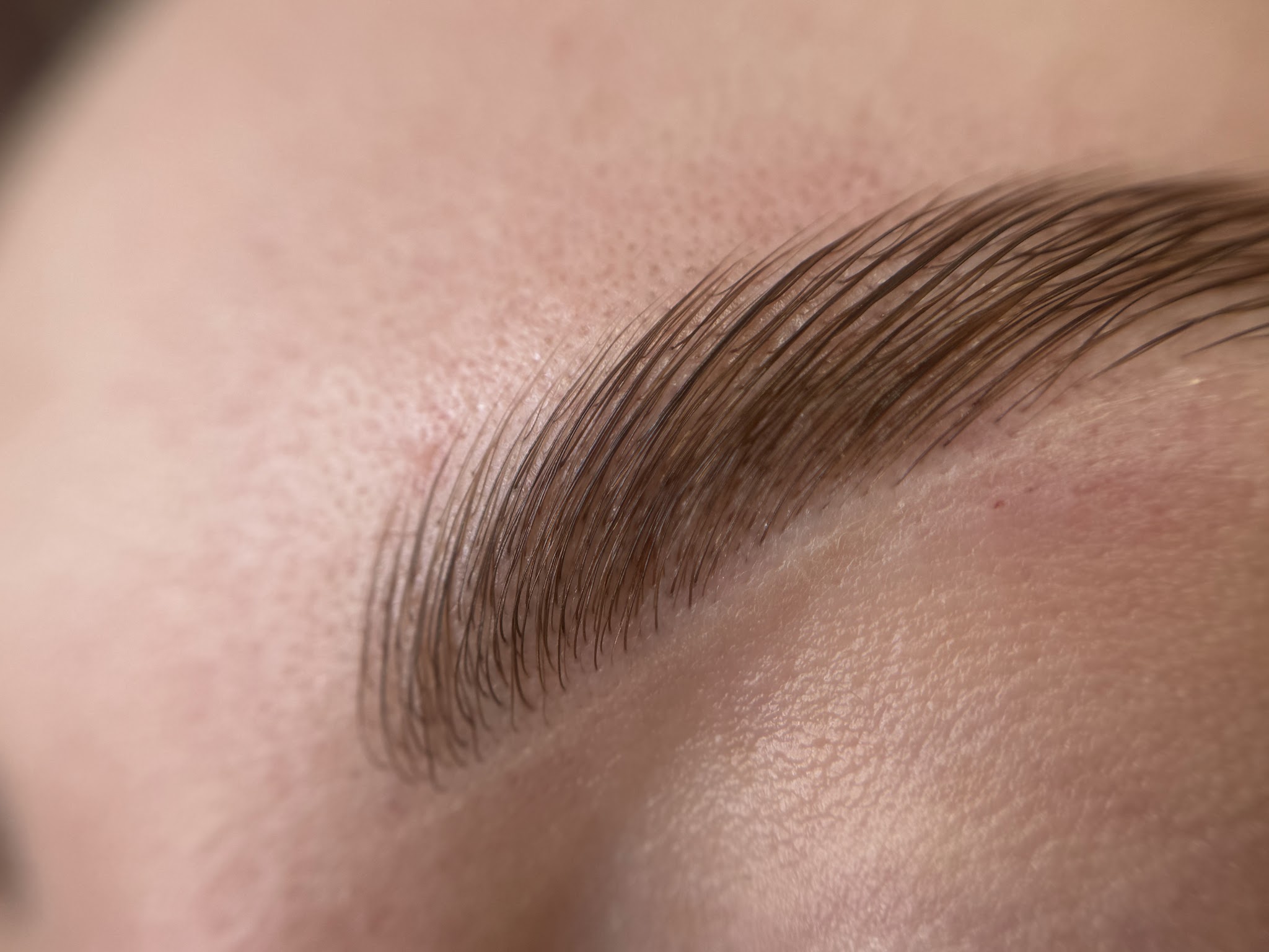 A defined hybrid brow