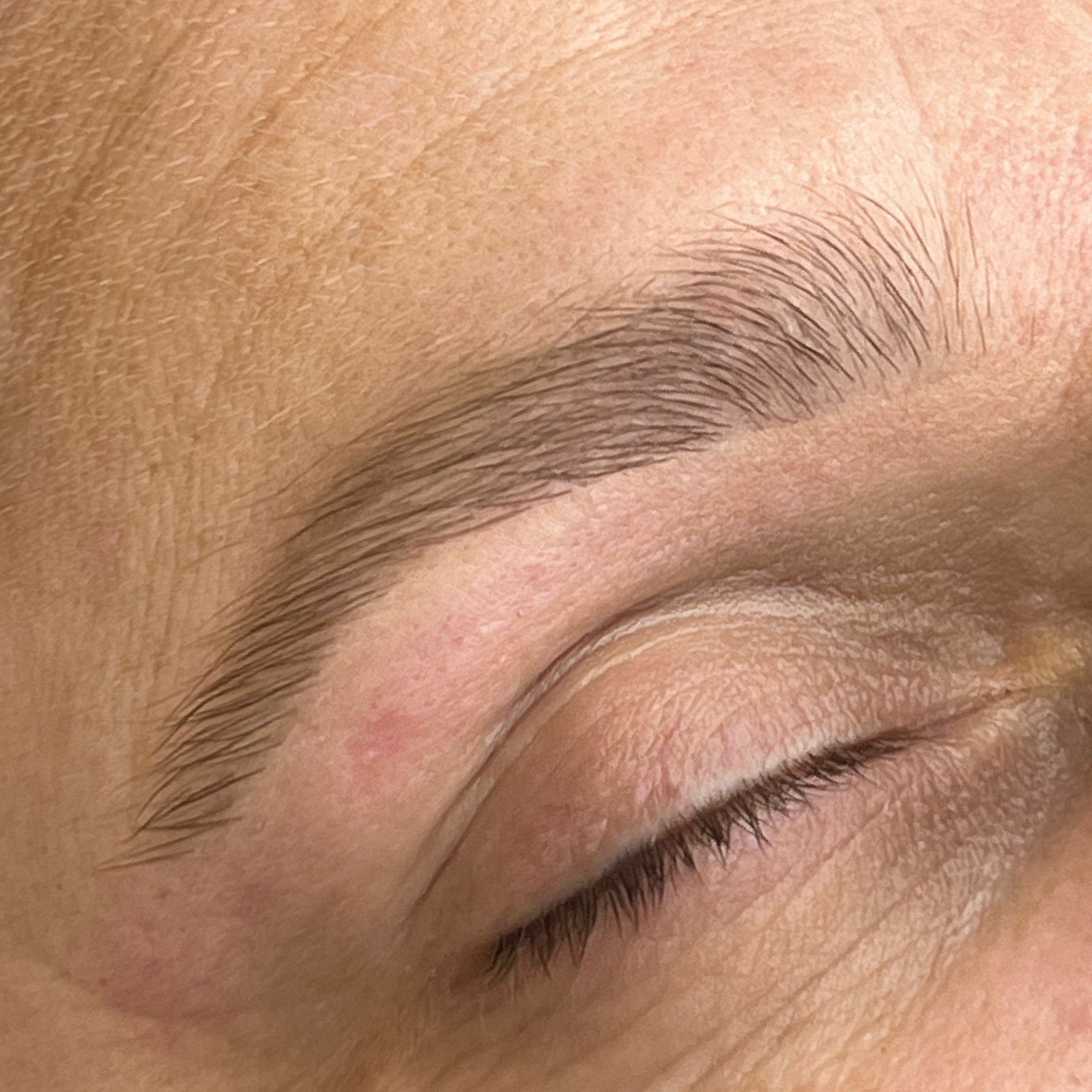 Laminated brow hairs brushed upwards