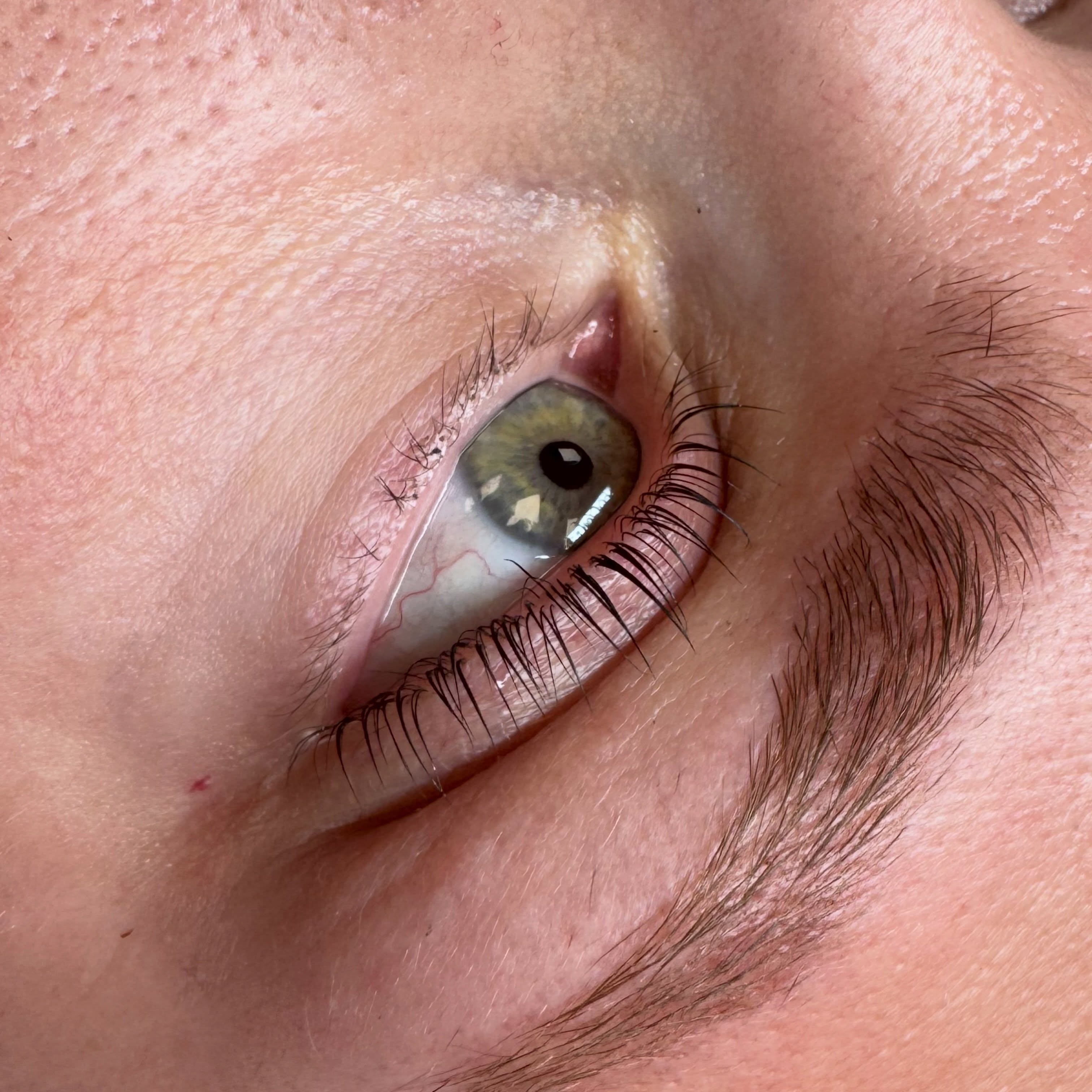 Lifted and tinted natural lashes